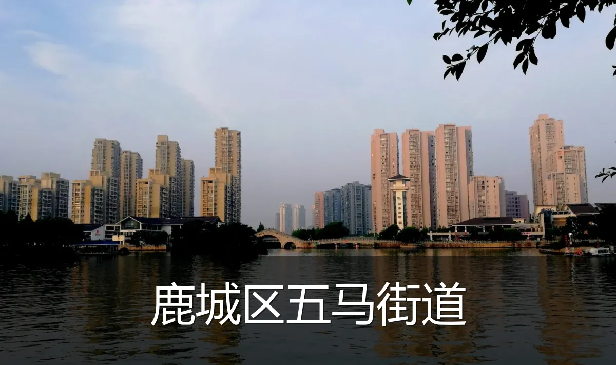 鹿城区五马街道