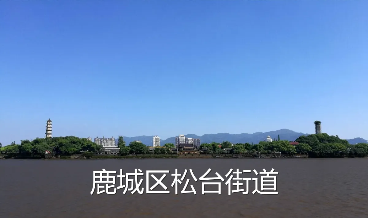 鹿城区松台街道